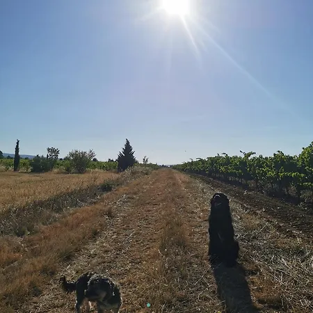 Les Pins, Russol Сasa de vacaciones