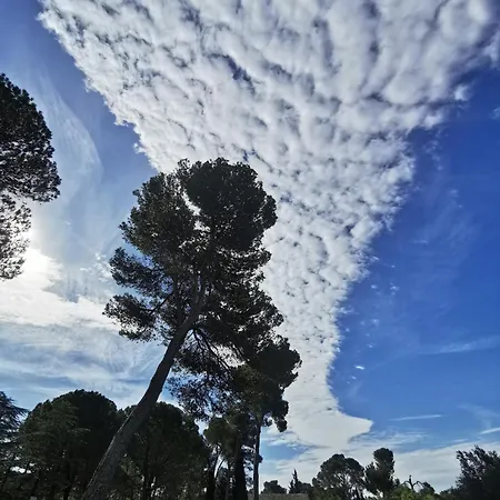 Les Pins, Russol